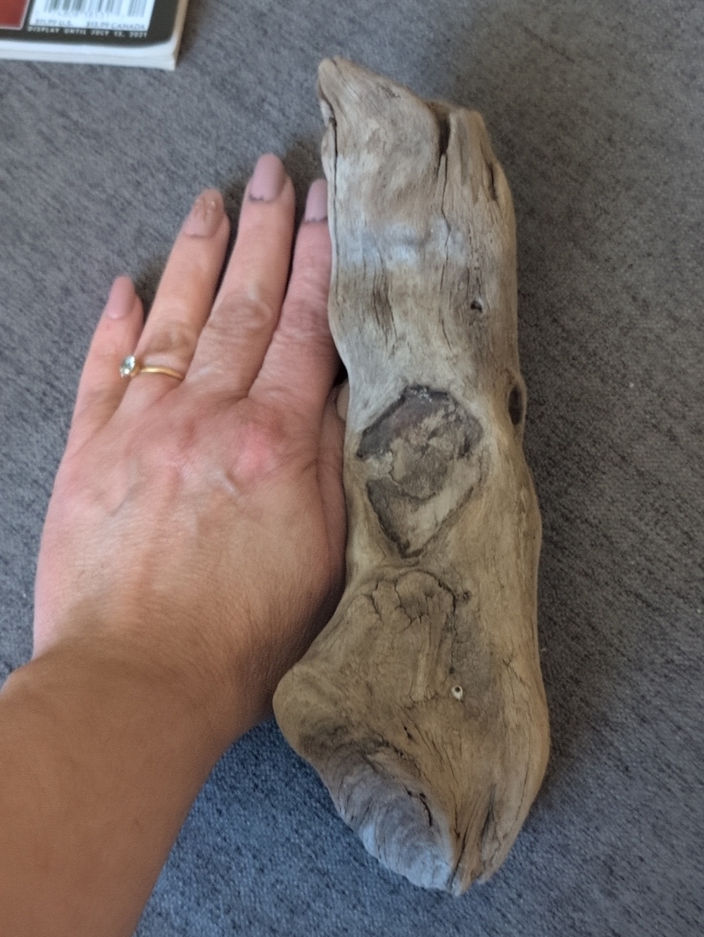 Natural Driftwood Reptile Hide - Gray